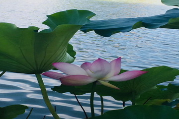 加拿大pc28展望(中国)官方网站