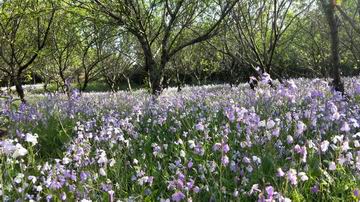 加拿大pc28展望(中国)官方网站