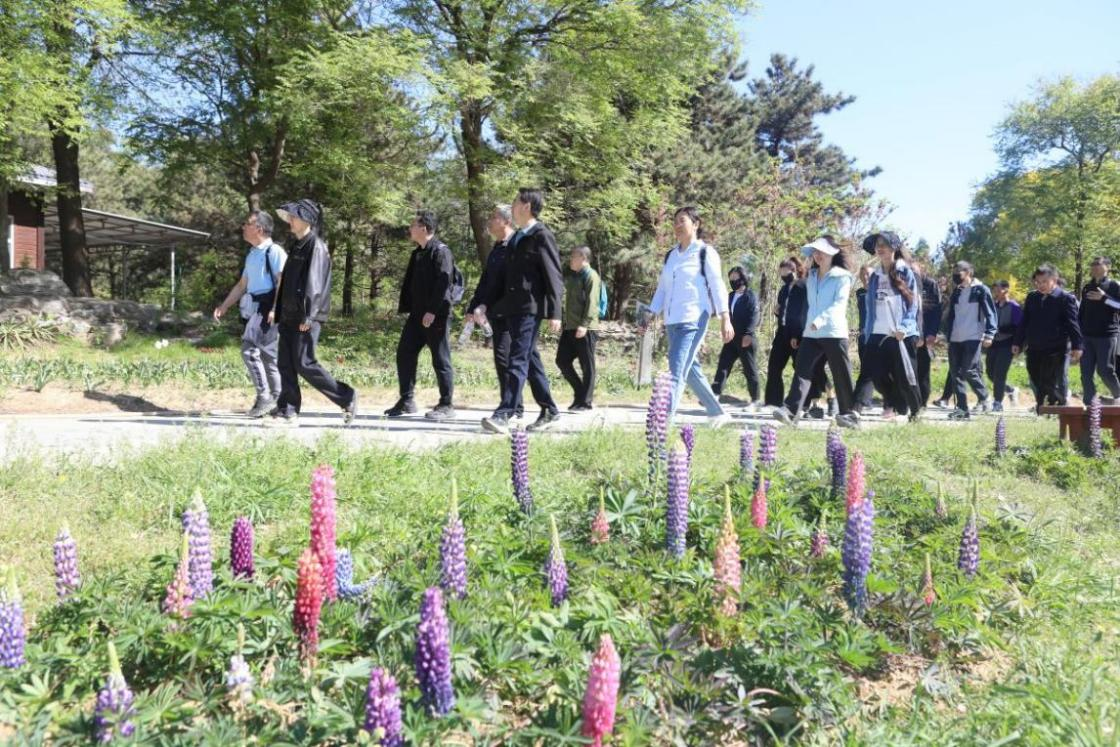 加拿大pc28展望(中国)官方网站